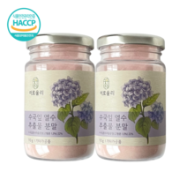 이로울리 프리미엄 수국잎 열수 추출물 1100mg 고함량 분말, 2통