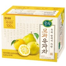 순작 모과 유자차 티백, 0.8g, 1개입, 200개