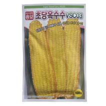 초당옥수수 씨앗 100립 [23년포장] 옥수수씨