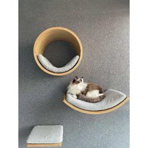 벽고정 캣선반 고급 북미 호두나무 거실 DIY 계단 캣워커, E 3종 애쉬블루
