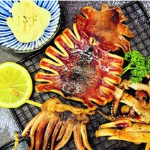 건강의정석 통영먼바다 최상품 반건조 오징어 10미, 2) 반건조 오징어(중) 1kg 10미