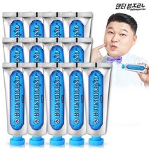덴티본조르노 치석케어 치약 100g 13개