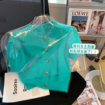반팔앙고라 니트 모헤어 그린 겨울