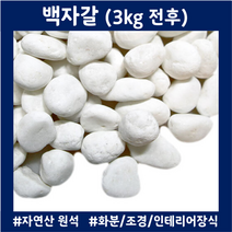 조경돌 백자갈 3kg 정원디딤석 테라스 베란다꾸미기 인테리어자갈 마당 어항돌, 0호