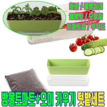 방울토마토 키우기 세트 베란다 텃밭 화분 오이 화분흙 용품 집에서 토마토키우기, 오이+토마토 1세트