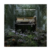 스테판 모치오 Stephan Moccio Lionheart LP 음반 바이닐 레코드 앨범