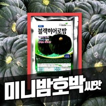 특상품미니밤호박  추천 순위 모음 50