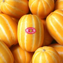 농부마음 성주 꿀 참외 5kg 25-30과