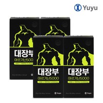 유유제약 대장부 아르기닌 5000mg 고함량 L 아르기닌 마카 아연 타우린, 15포, 4박스