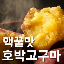 [100%품질보장새벽경매] 햇 꿀 호박고구마 고구마 특상 한입 1.5kg 10kg 4kg, b.중 사이즈 10kg