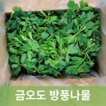 [신진농산] 노지재배 봄나물 여수 금오도, 노지 방풍나물 2kg, 1박스