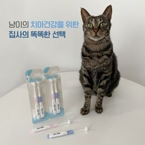 뚜또가또 초극세모 덴탈 칫솔 구강관리 클린 고양이 치석 제거 구내염, 단품