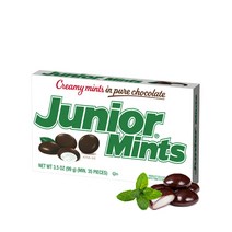 [DCT] 주니어 민트 초콜릿 99g, 1개
