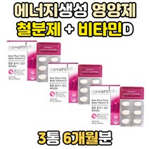 엽산 에너지 생성 영양제 철분 철분제 철 효능 추천 대사 4가지 복합 종합 멀티 기능성 비타민 D B12 D3 E 구연산 마그네슘 아미노산 분말 칼슘 흡수 뼈건강 혈액생성