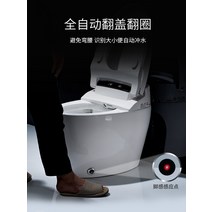 일체형 전자동 구입 고급스러운 전자식 청소쉬운 설치필요없는 방수 비데 인체공학 간편한 필터없는, 기타/other, 3800 스탠다드핏[남성 발 감각 충수]