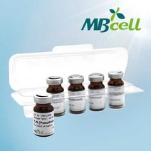 MBcell Iodine (0.1N) Solution, 1Ea