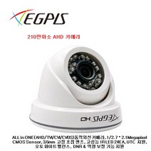 이지피스 CCTV실내용카메라200만화소, NE16767