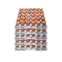 계란(참 특란)판 30구*5판/판 단가 [계란 달걀] (농가 직거래/국내 최저가)