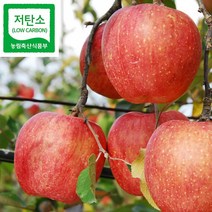 아삭아삭 껍질째 먹을 수 있는 거창사과(홍로 5kg 소) 24~30과