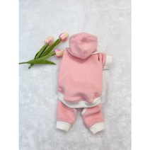 설레임마켓 핸드메이드 강아지트레이닝복 올인원 산책 2XL, 점퍼