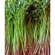 청도 한재 민가네 미나리 1KG