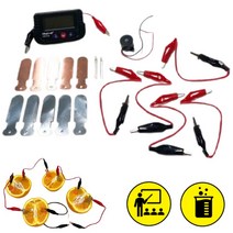 2인세트 과일전지 전기실험 과학놀이 화학실험키트 준비물 원리