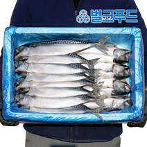 노르웨이고등어 16마리 간고등어 생선구이 업소용, 옵션4. 자반고등어 16마리 대(4.0kg)