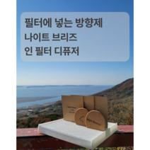 에어컨 필터에 넣는 차량용 방향제 나이트 브리즈 인 필터 디퓨저, 잔꽃
