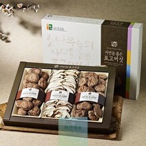 표고 버섯 선물 세트 부모님 명절 추석 설 절편 국산 프리미엄