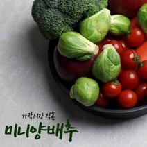 구매평 좋은 미니양배추1kg 추천순위 TOP 8 소개