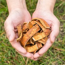 봉래종합약초 국산 벚나무껍질 (화피 앵피) 200g/한방/건강/약초/약재 식품 > 건강식품 전통건강식품 기타전통건강식품/한방재료, 1, 200g, 200g” class=”wr-img”></a></div></p></div></p></div></p></div><div class=