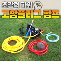 이동형 고압 양수기 펌프 12V48V60V220 볼트 고전압 농업용 전기 분무기 농약 제초제 살충제 방제 방역 살포기, 48V 플런저 펌프30m 고압 튜브