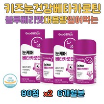 맛있는 어린이 눈 영양제 베타카로틴 블루베리맛 아연 블루베리 아사이베리 크랜배리 결멍자 과일 채소 혼합분말 성장기 아동 유치원생 초등학생 남아 여아 아이 아이들 육아 중학생