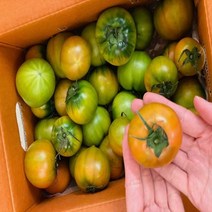 찬스마켓 당일수확 부산 대저 짭짤이 토마토 2.5kg, 로얄과 소2.5kg(2S~3S)