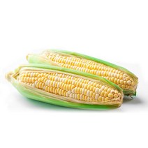 [착한식탁]제주 초당옥수수 중품 10개 (10-14cm), 999