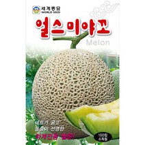 얼스미야꼬 멜론씨앗 메론씨앗 하계용 (100알)