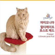 파이오니아 얼티메이트 스크래쳐 포스트패드(펄치)