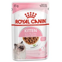 로얄캐닌 키튼파우치 12개입 그레이비85g 고양이사료