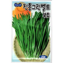 진흥 그린벨트 부추 씨앗 25g - 전국 어디서나 재배 가능 키우기 쉬운 부추