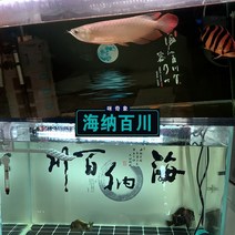 3D입체스티커 어항 배경 종이 고화질도 수조 벽지 그림의 바다 납백천 시트지 조경 인테리어그림 주문제작 3551210177