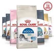 로얄캐닌 캣 고양이사료 페르시안어덜트 샴어덜트 2kg, 샴 어덜트 2kg