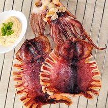 강영수산 반건조오징어 (특대)10미(1.8kg내외), 단품