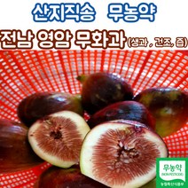열매1kg달콤한영암2kg무화과 가격비교로 확인하는 가성비 좋은 상품 추천