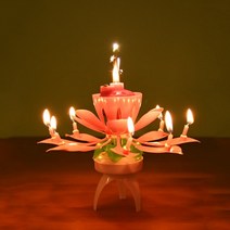 **골든에그 인기상품** 생일축하 멜로디 연꽃초 레인보우품절 임박입니다!, 일반연꽃초(옐로우)