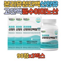 네덜란드 산양유 단백분말 고단백 히알루론산 보충제 WPI 분리유청 필수아미노산 분말 가루 비타민 쉐이크 농축 밀크 칼슘 BCAA 20대 30대 40대 50대 60대 주부 학생