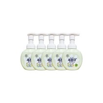 온더바디 세꼼마 버블항균 핸드워시 허브향 250mL 5개, 온더바디 세꼼마 버블항균 핸드