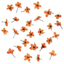 조팝 주황 약 1cm 25개 B-03-103