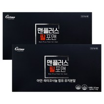 브이맥스 필름 30매 2팩(2개월) 남성활력 + 빠른피로회복, 1세트