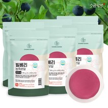 빌베리 농축분말 파우더 와일드 블루베리 500g, 6팩