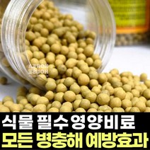 난초 영양제 화분 알갱이영양제 식물 성장 촉진제 원예용 고형 고체 난 알갱이 비료 알비료